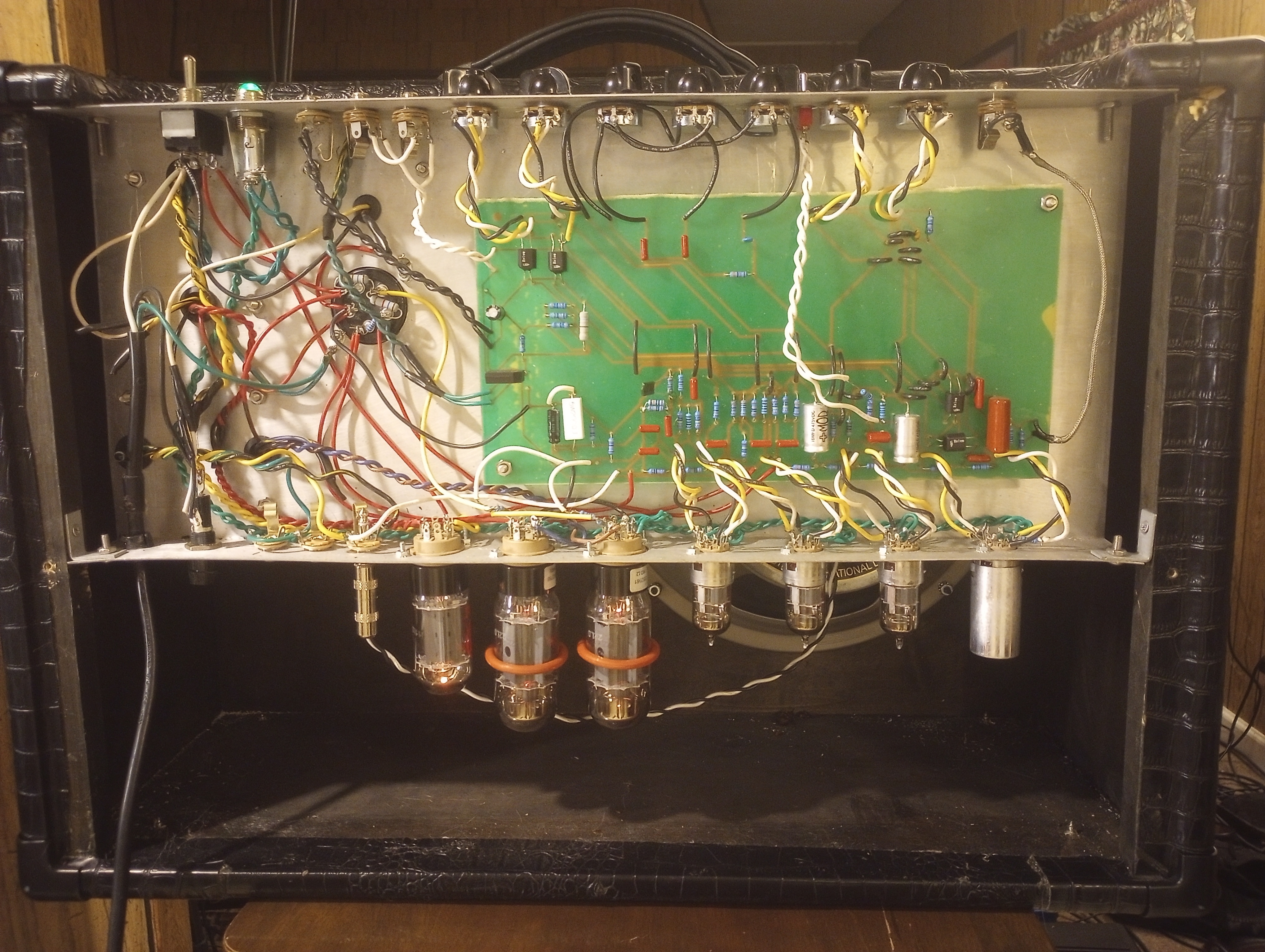 alligator amp with strat